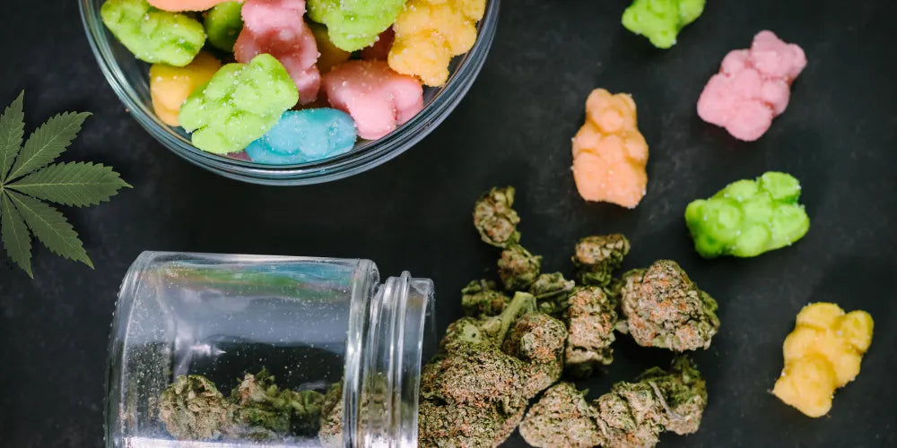 Hongos de CBD