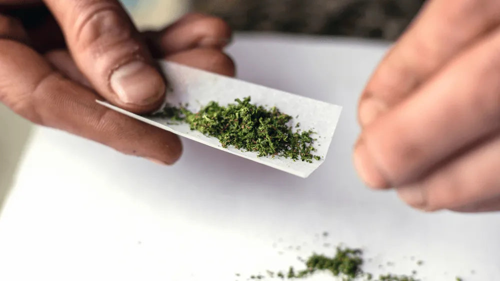 Učinci THC-H-a i kako ga koristiti