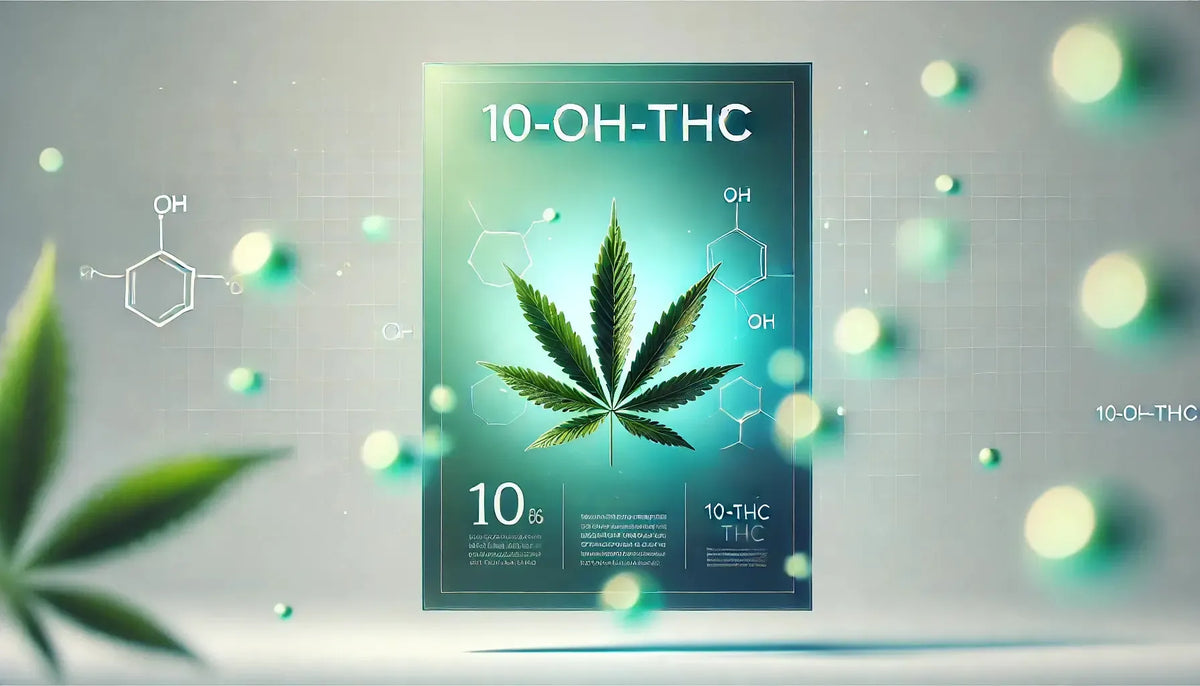 Εξερευνώντας το 10-OH-THC: Ένας πιο ήπιος μεταβολίτης με μεγάλη προοπτική-Canapuff
