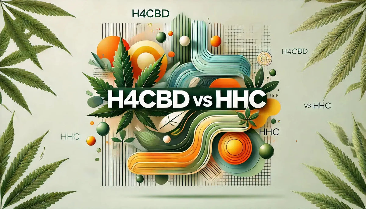 Image d’en-tête de blog intitulée « H4CBD vs HHC », avec des visuels abstraits : des tons verts pour H4CBD et des tons orange-jaune dynamiques pour HHC, mettant en avant leur contraste.