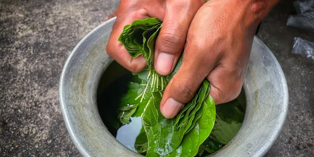 koliko kratomа uzeti