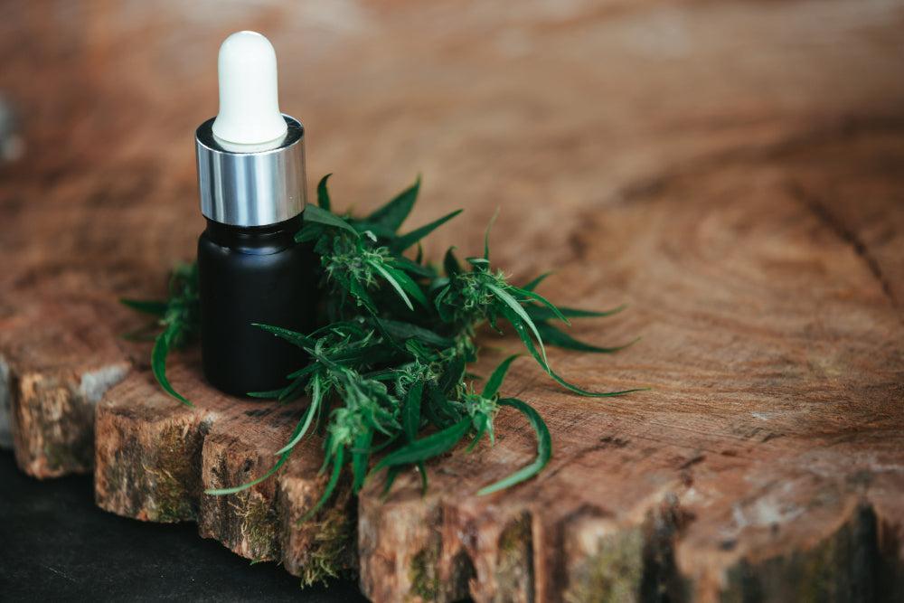 THCA: Korzyści, zastosowanie i najlepsze Strains Cannabis-Canapuff