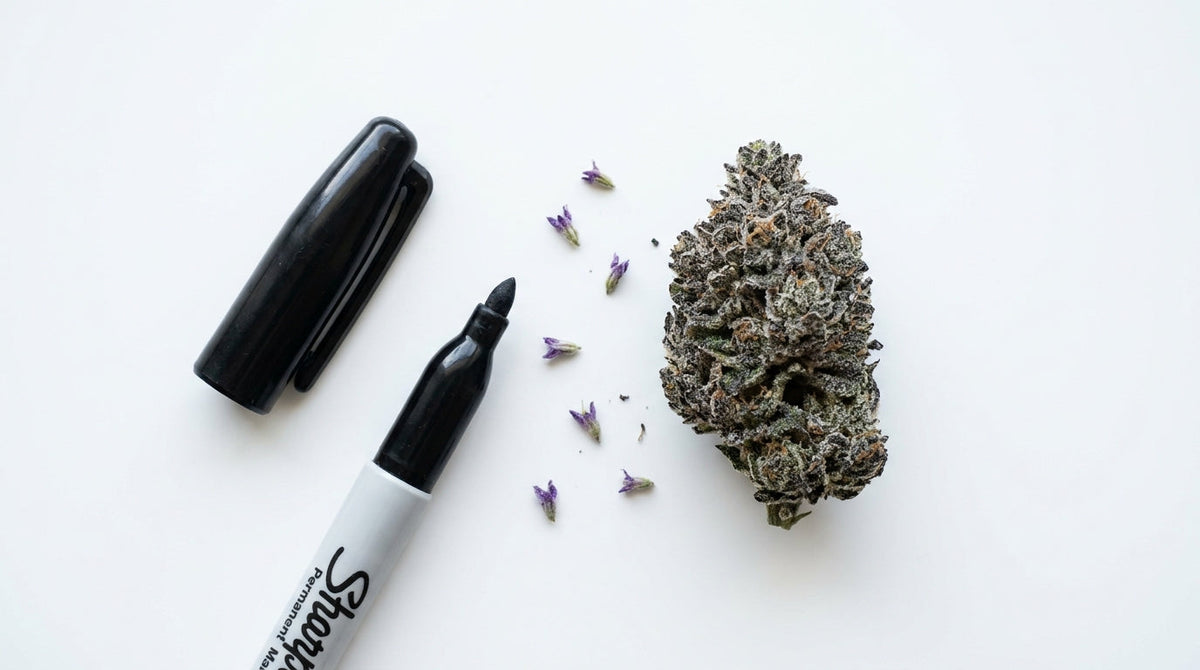 Open permanent marker pen next to a dense Permanent Marker cannabis bud with purple undertones