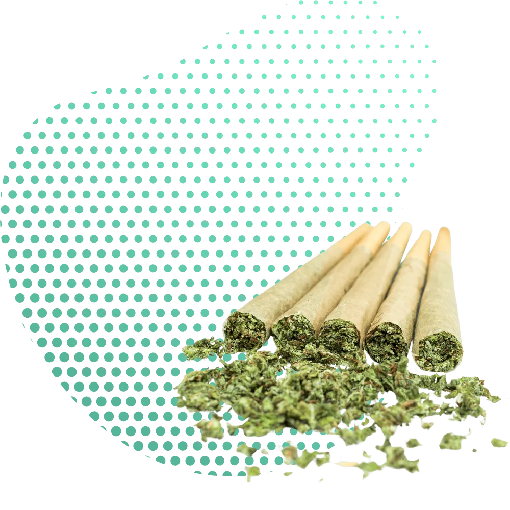 CBG9 Joints