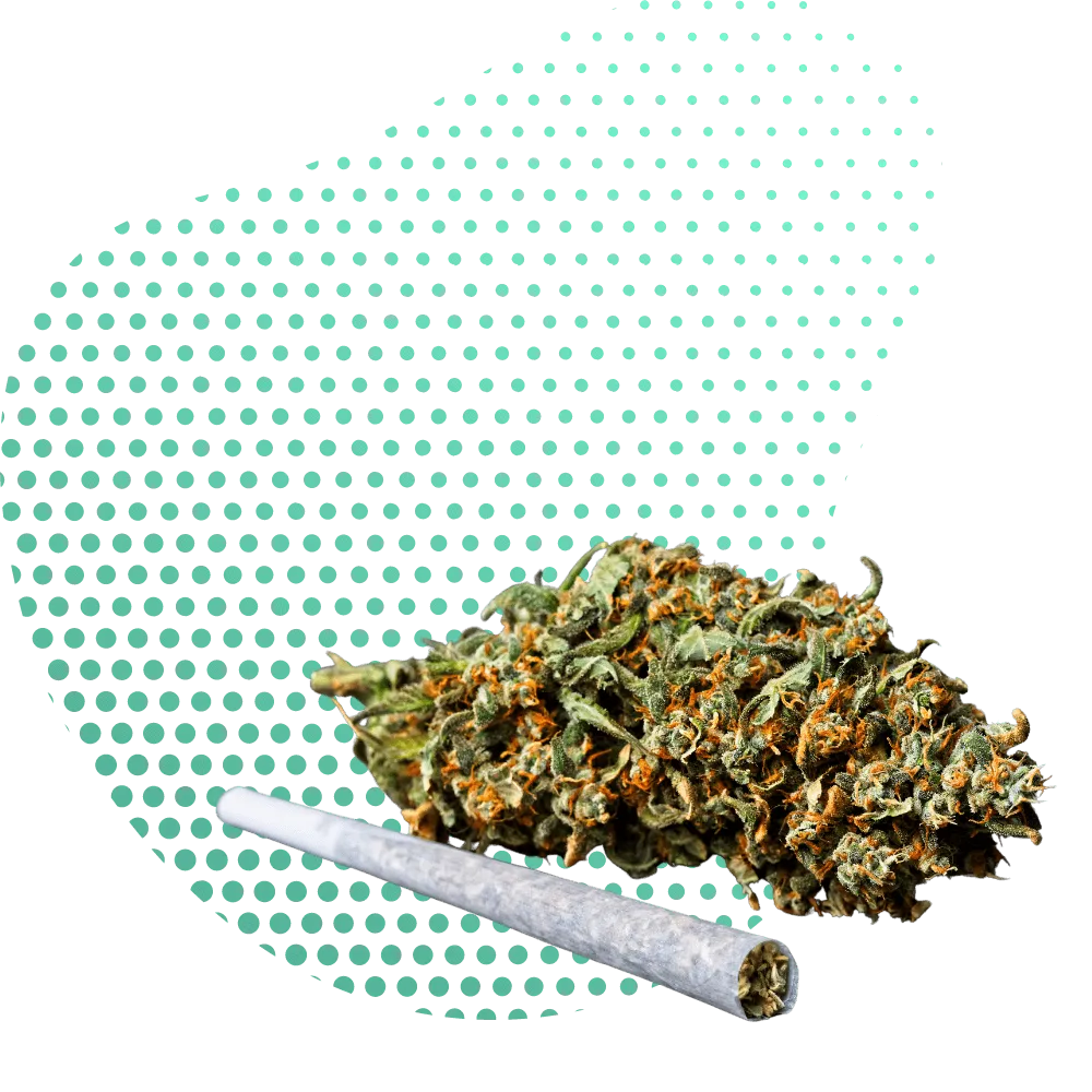 HHC-A Products