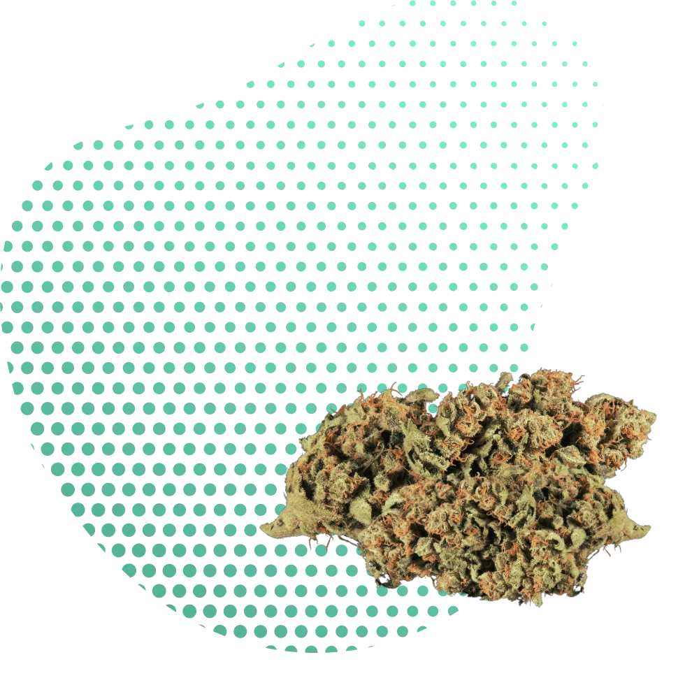 H4CBD Products