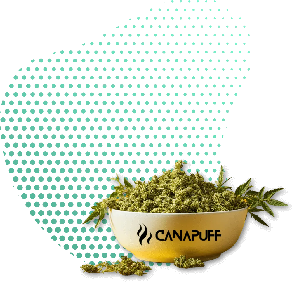 Canapuff Fiori-Canapuff