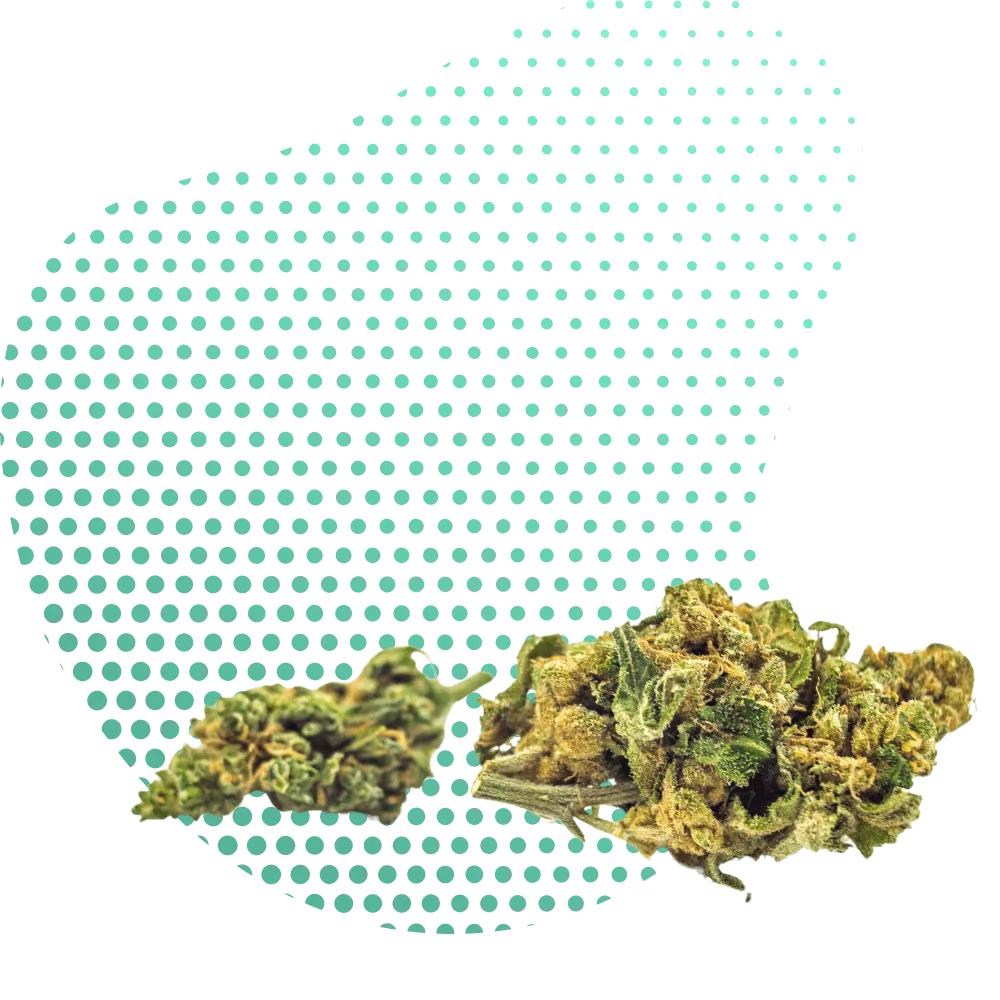 HHC-A Flowers