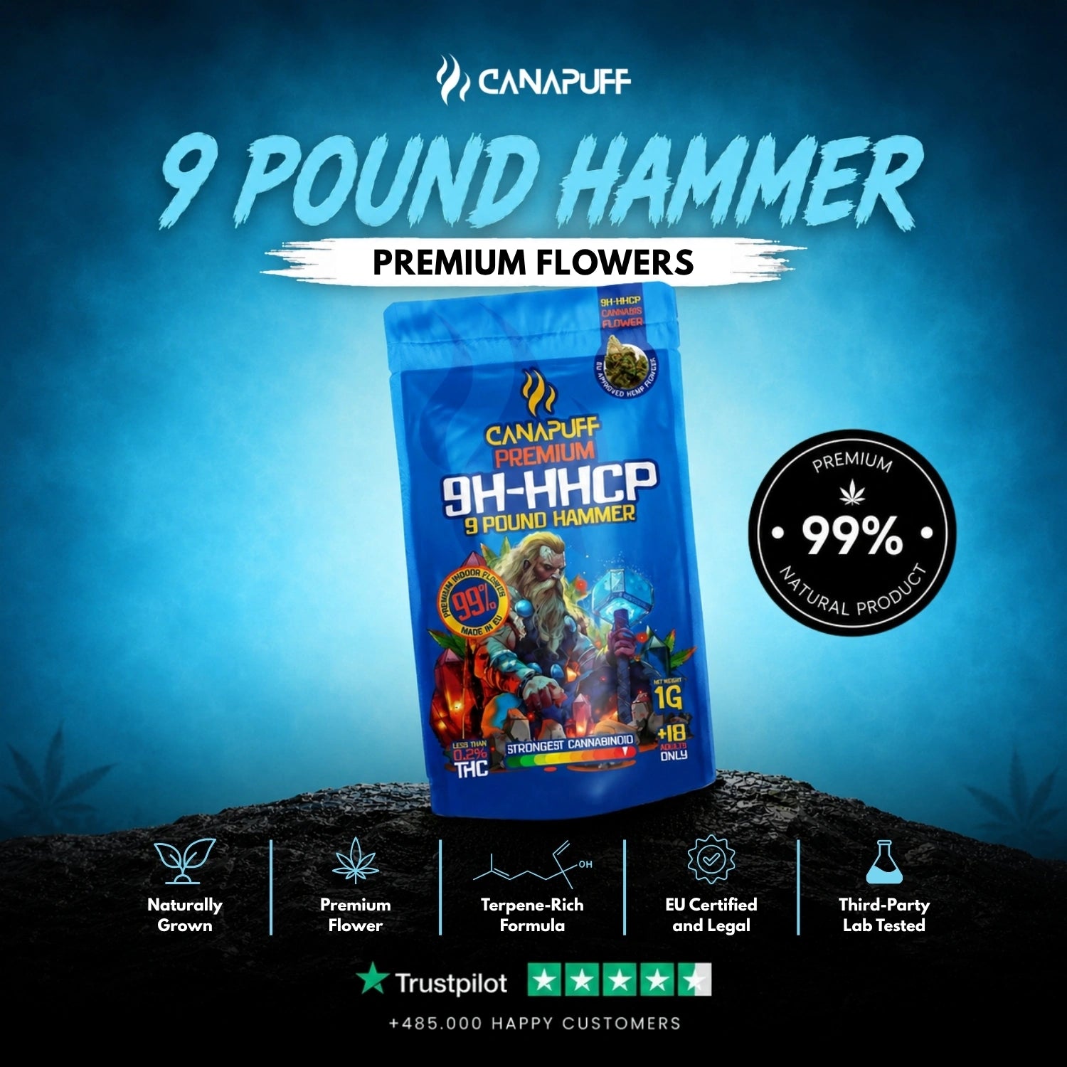 9H-HHCP Flowers 9 Pound Hammer 99%