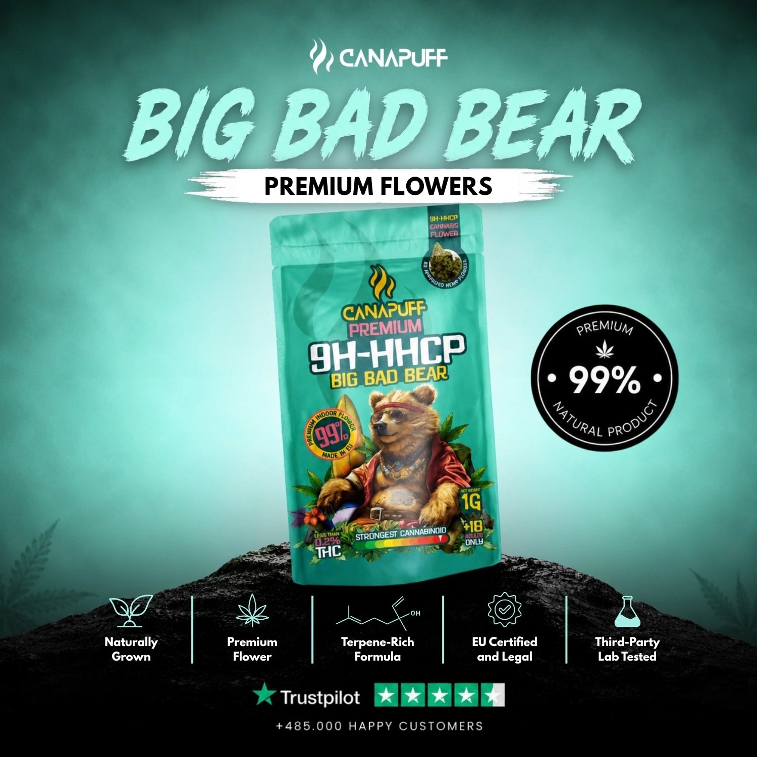 9H-HHCP Flowers Big Bad Bear 99%