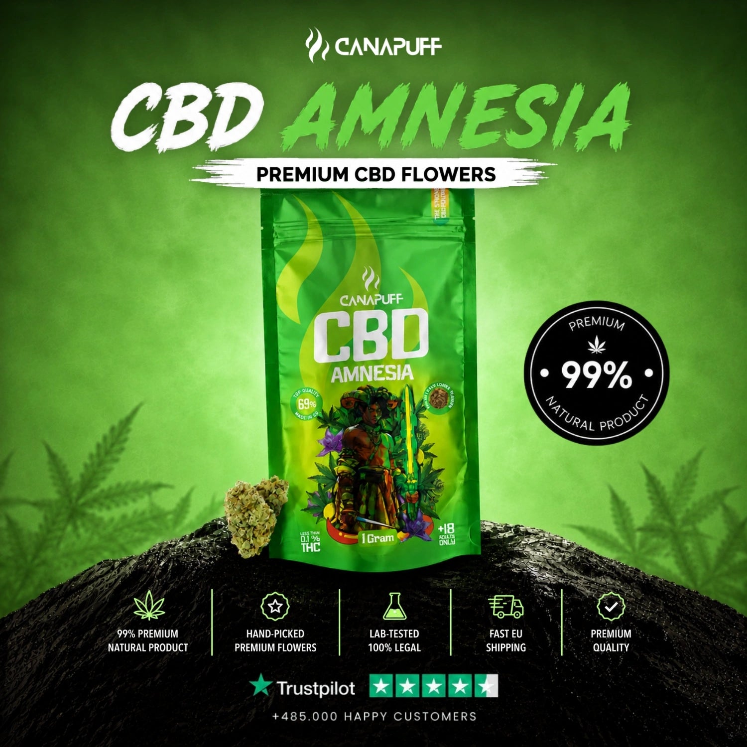 CBD Flowers Amnesia 69%