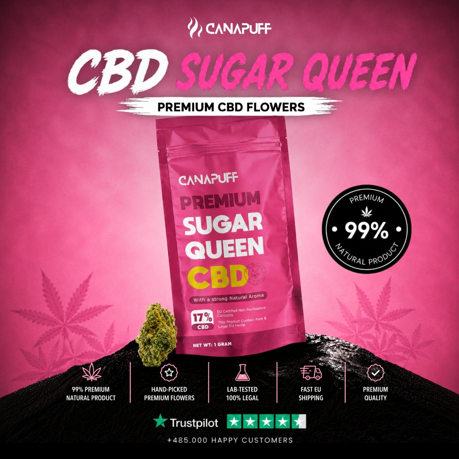 CBD Flowers Sugar Queen 17%