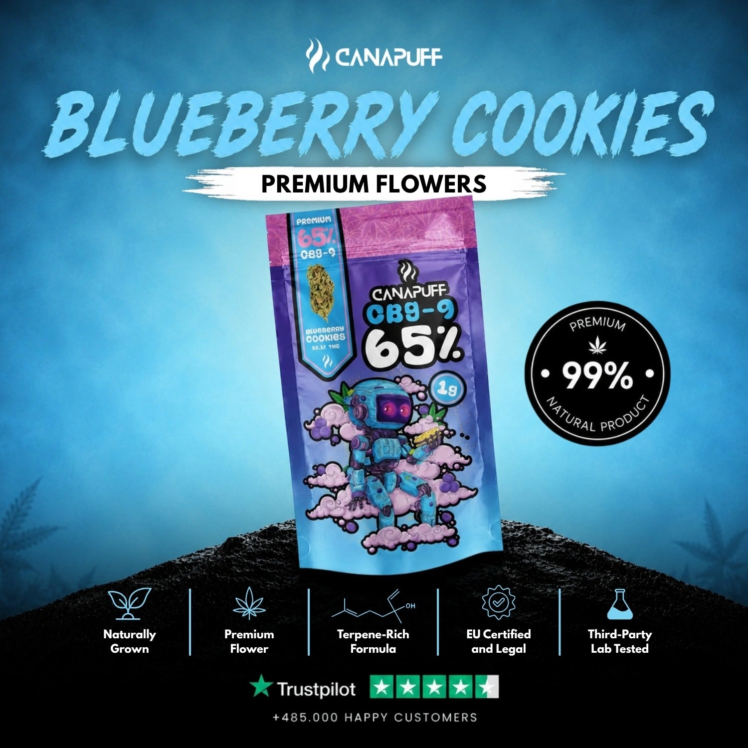 CBG9 Flowers Blueberry Cookie 65%