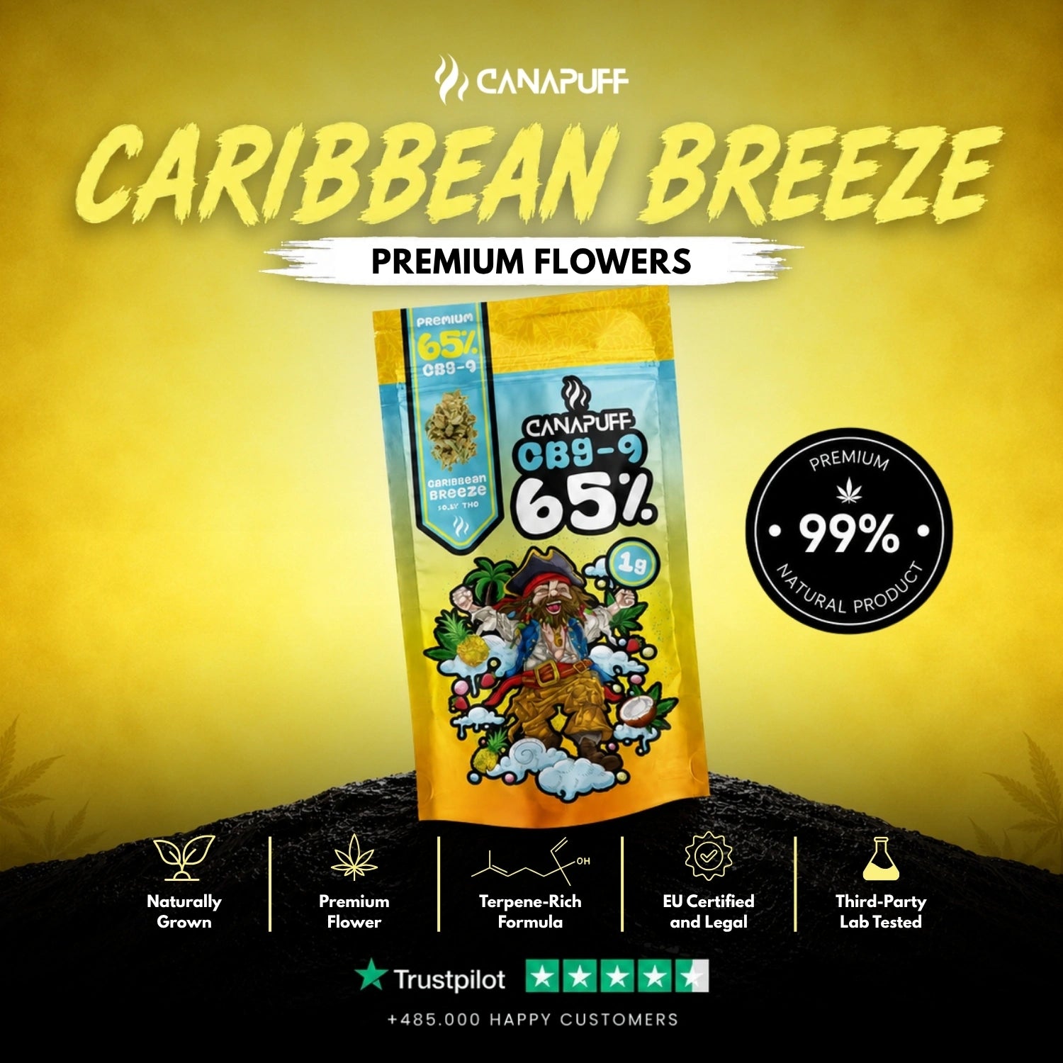 CBG9 Flowers Caribbean Breeze 65%