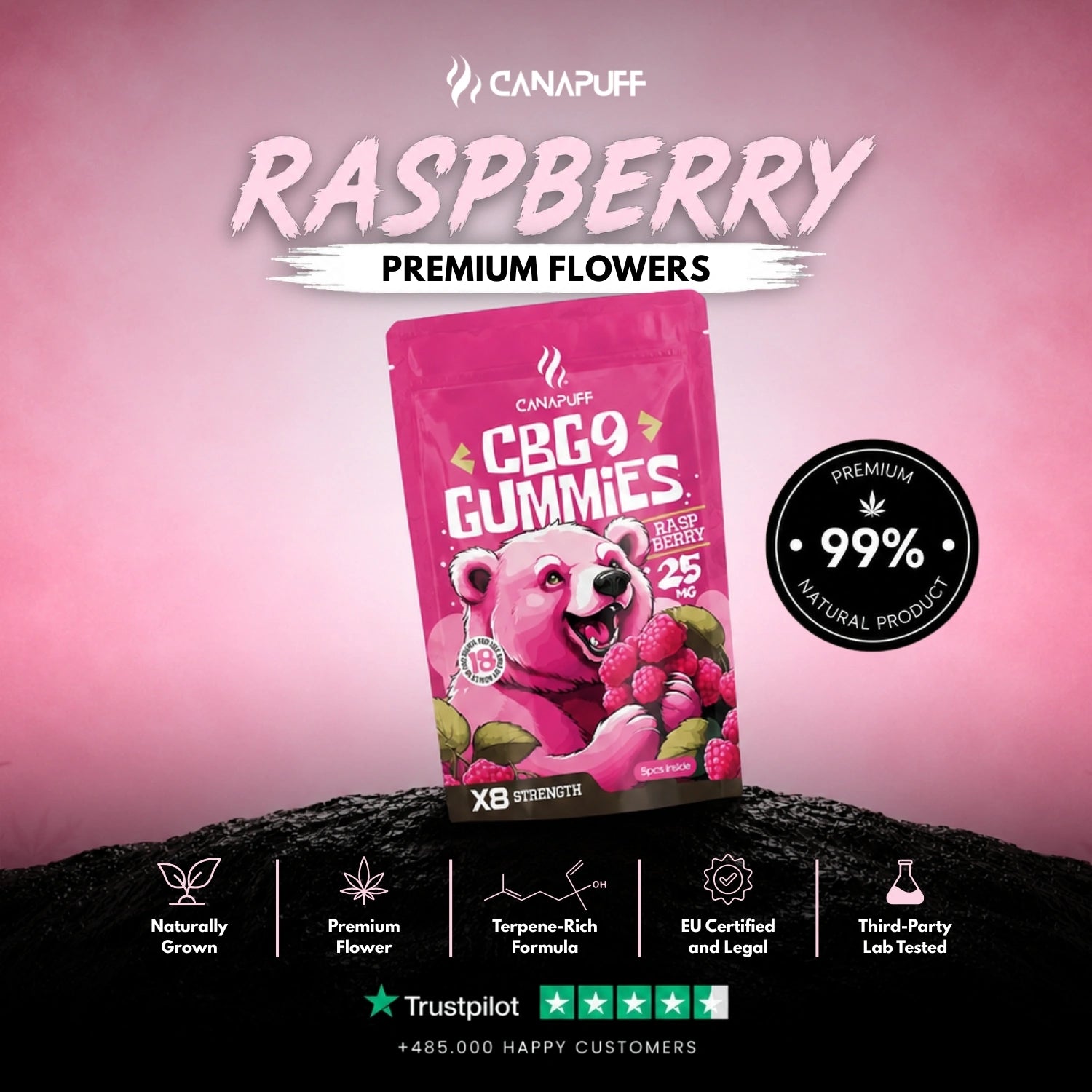 CBG9 Gummies Raspberry