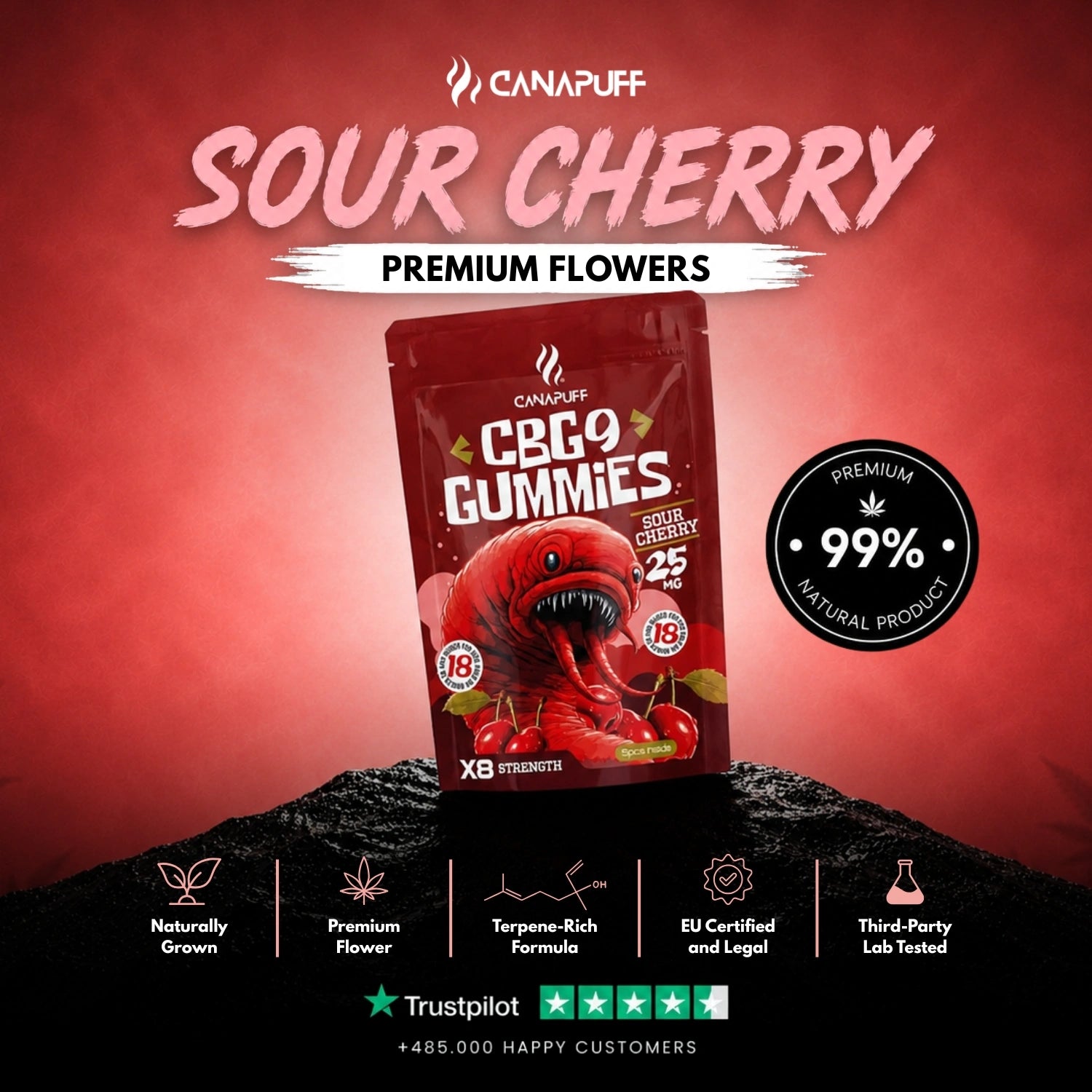 CBG9 Gummies Sour Cherry
