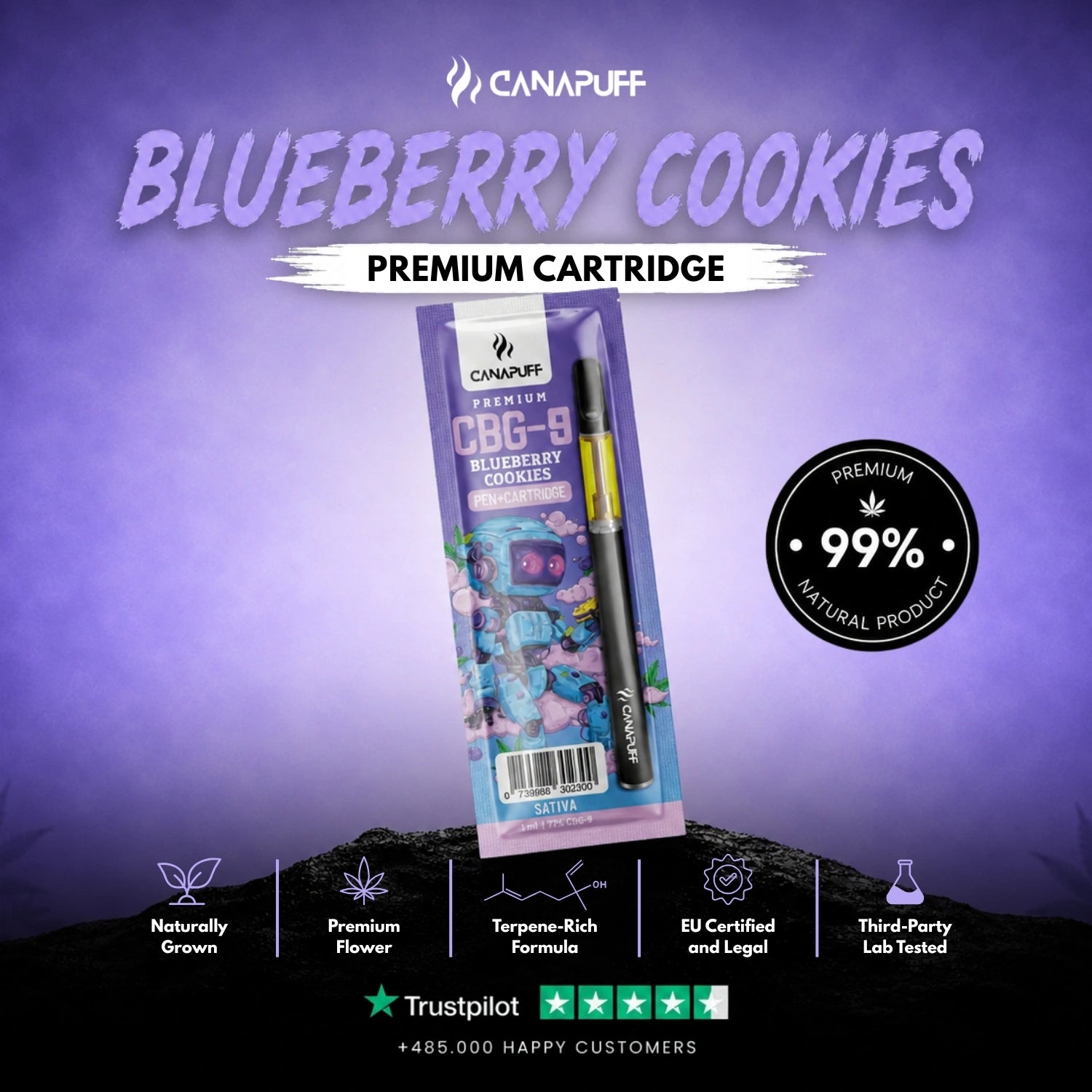 CBG9 Pen+Cartridge Blueberry Cookies 79%