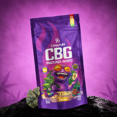 Canapuff CBG Blackjack Gelato virágzat 69%, 1 grammos tasak