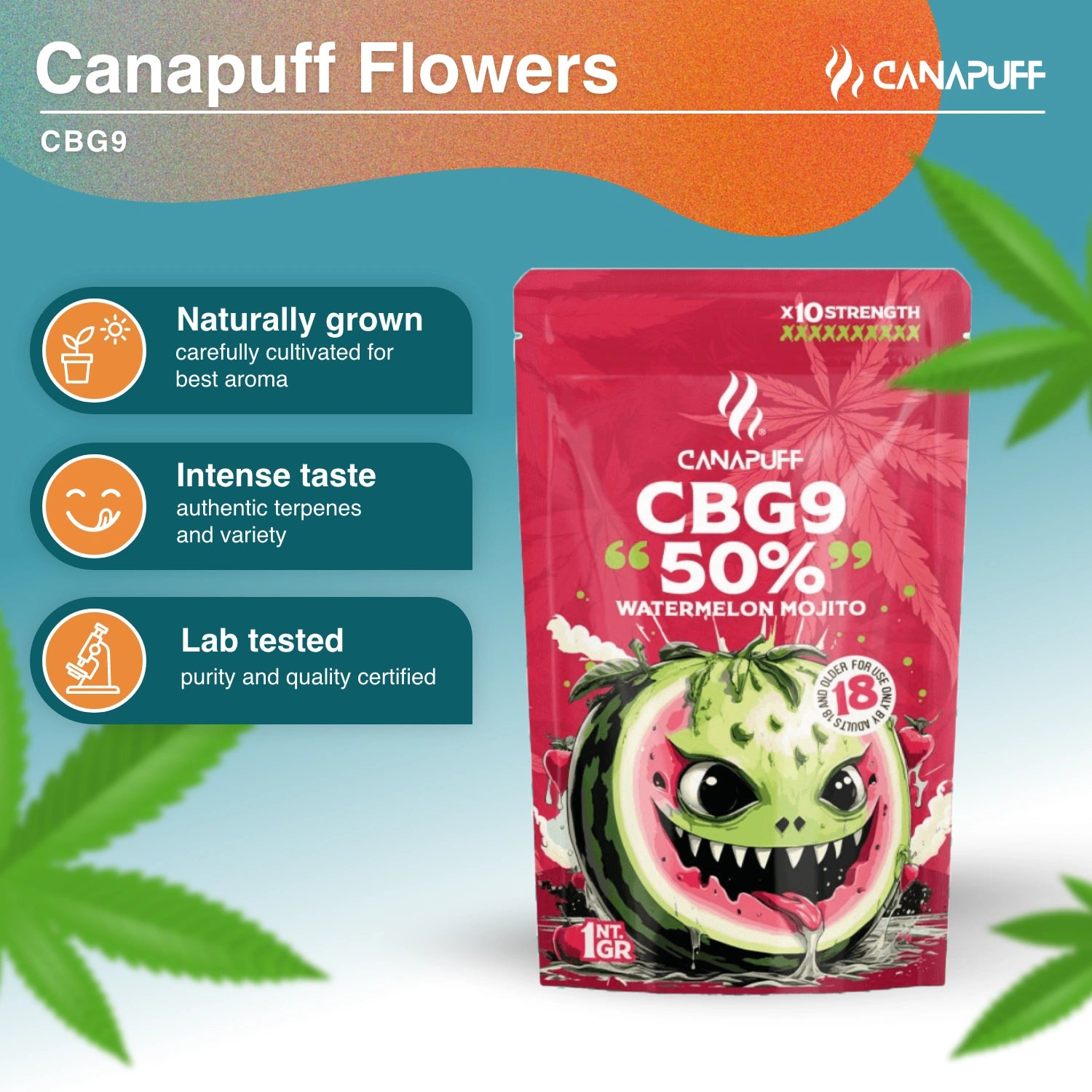 Canapuff CBG9 flowers, Watermelon Mojito, 50%, 1 gram pouch