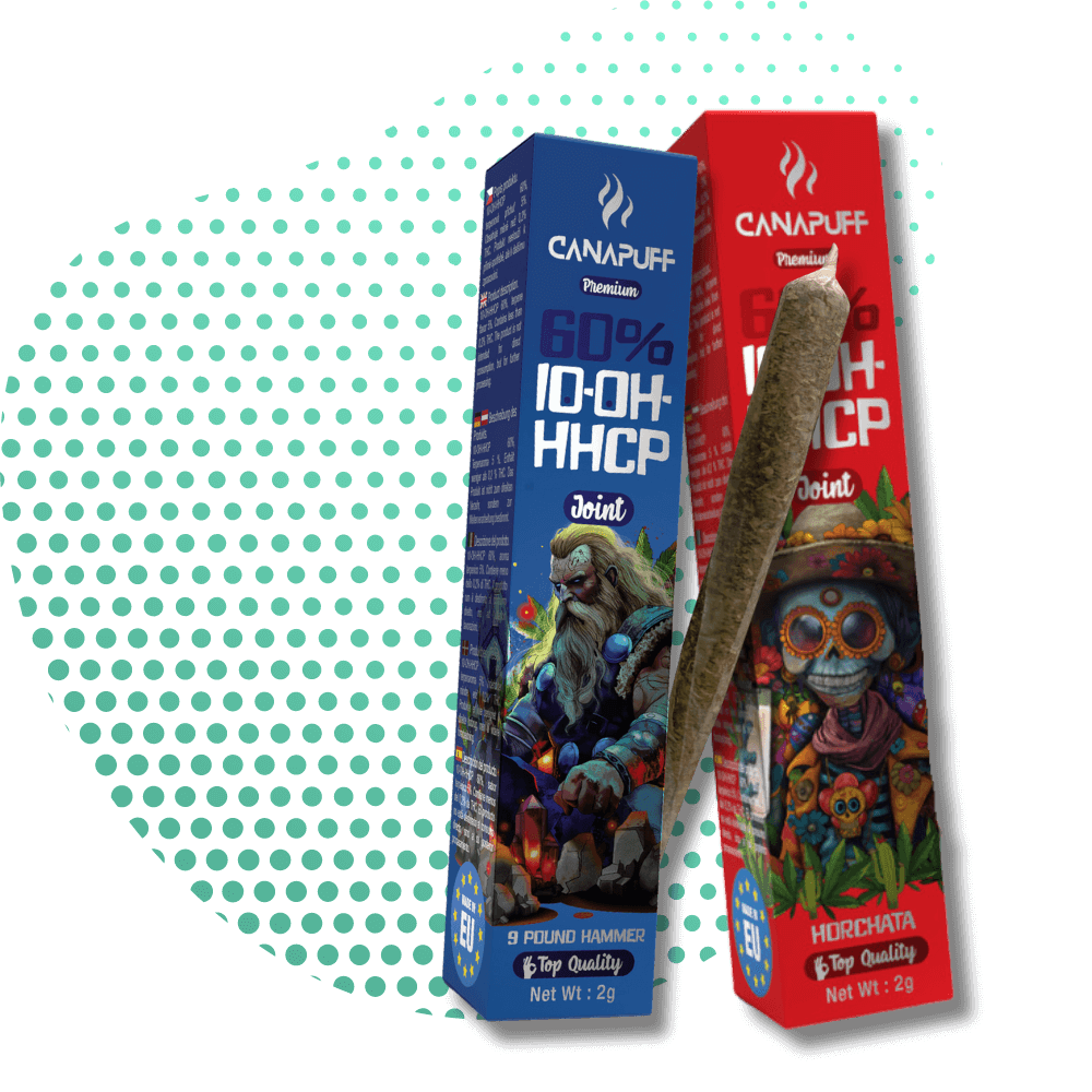 Porro preenrollado de HHCP