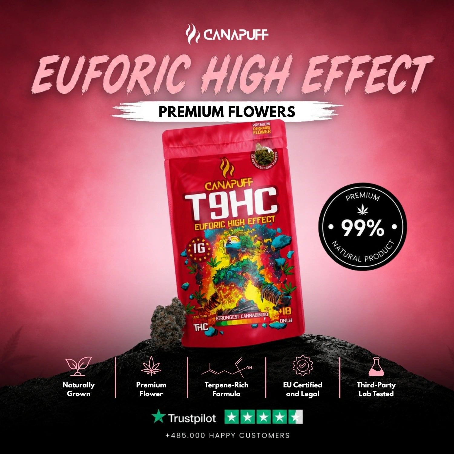 T9HC Flowers Euforic 99%