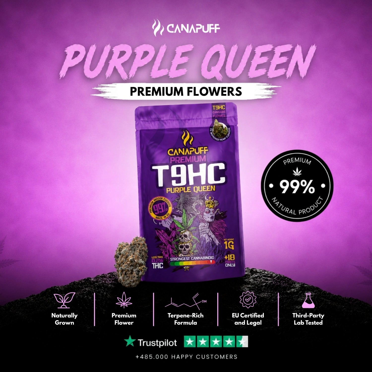 T9HC Flowers Purple Queen 99%