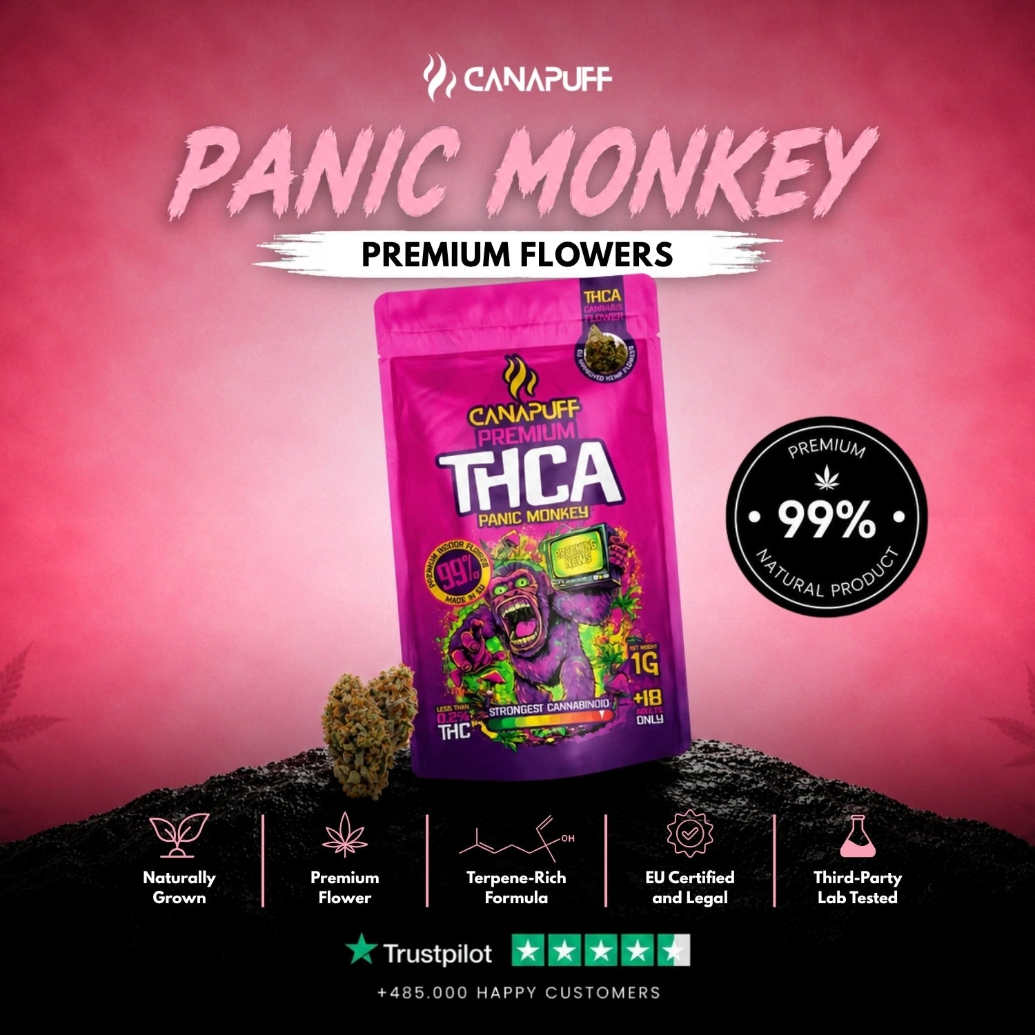 THCA Flowers Panic Monkey 99%