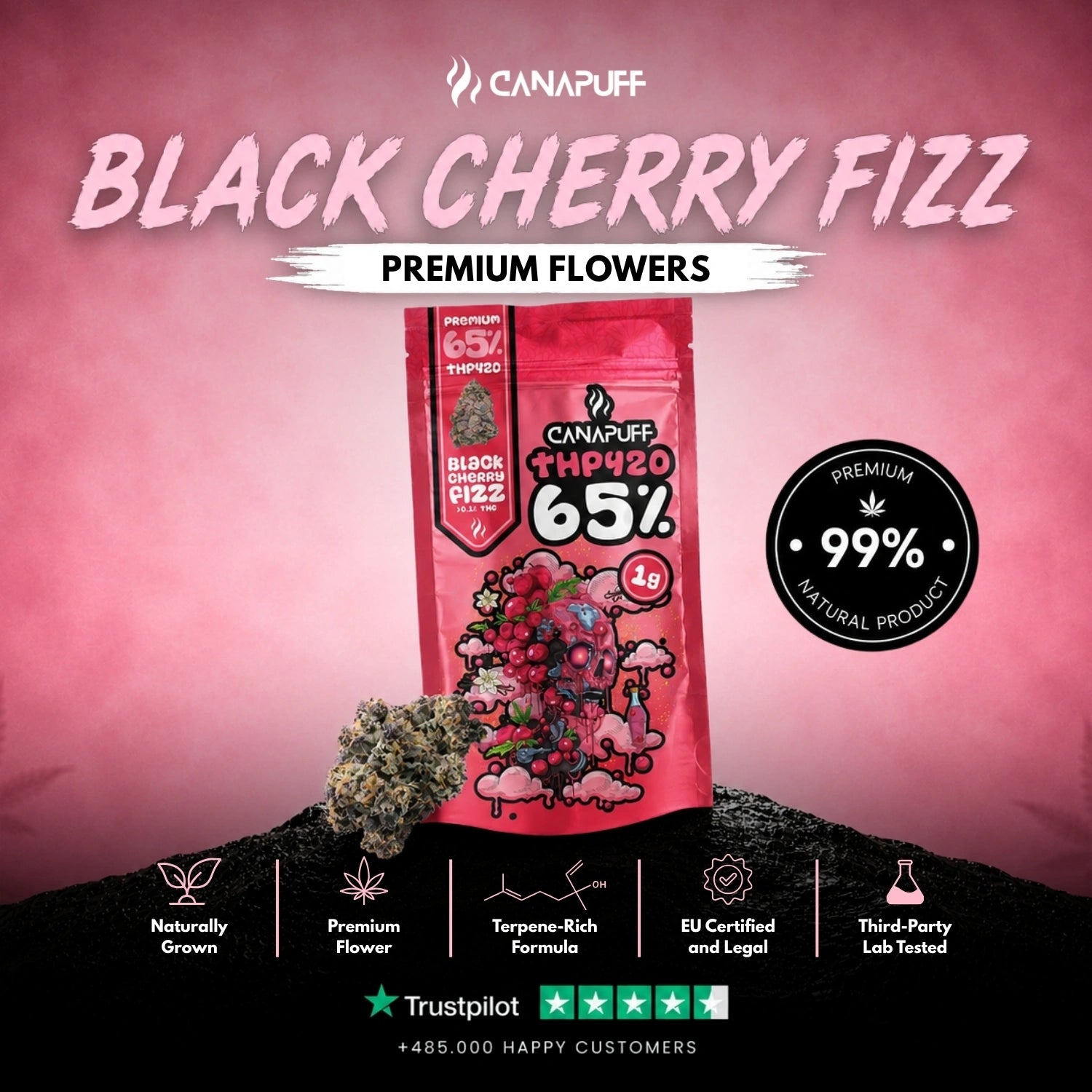 THP420 Flowers Black Cherry Fizz 65%