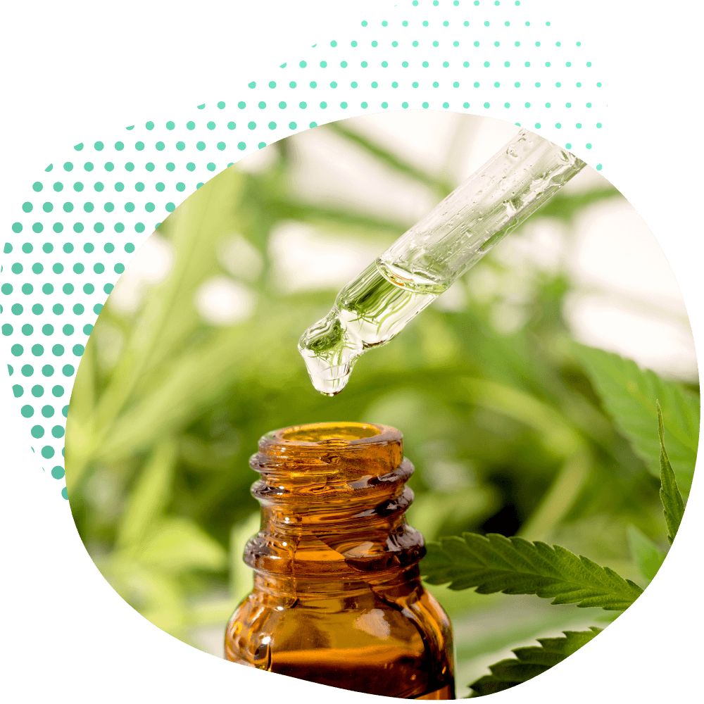 THC Yağı Etkileri
