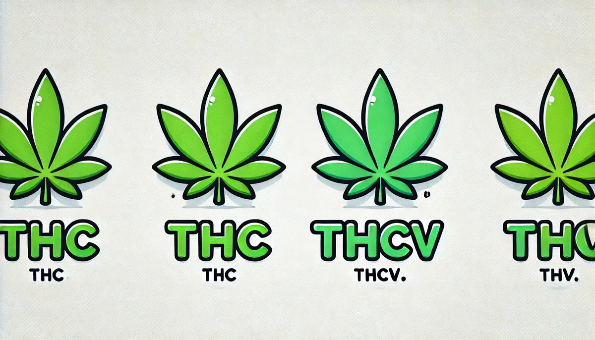 Natpis “THC vs THCV” s listovima kanabisa u strip stilu.
