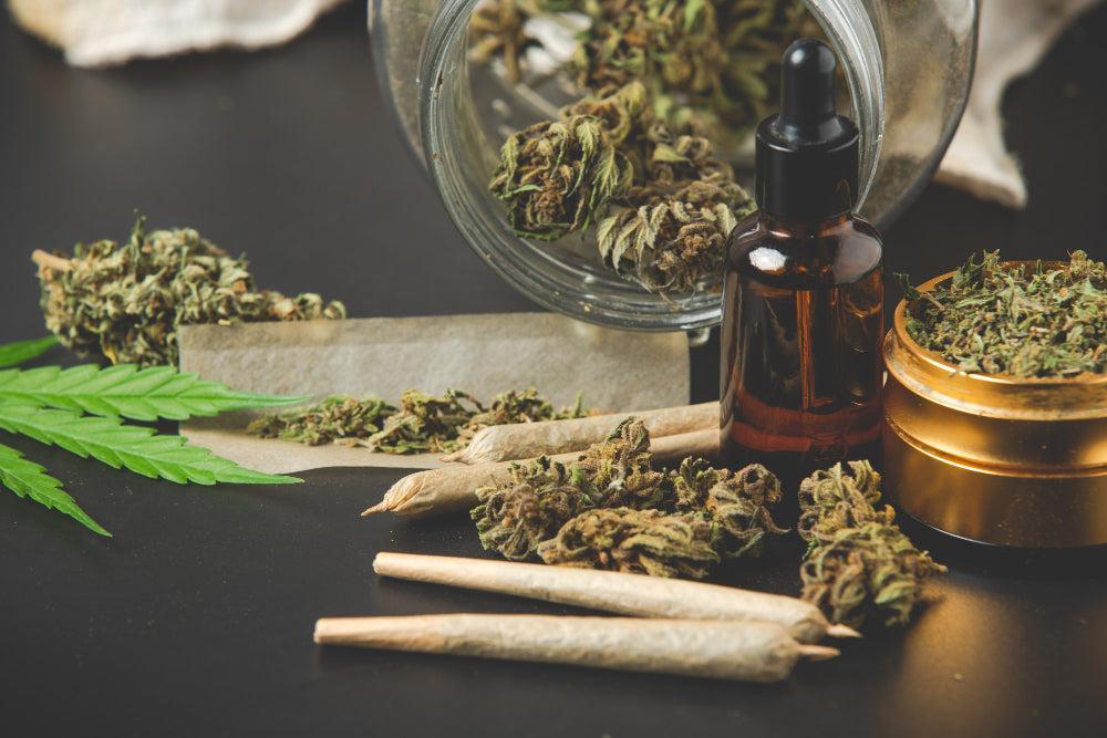 Βλάστηση παλιών σπόρων Cannabis: Βασικές συμβουλές για επιτυχία-Canapuff