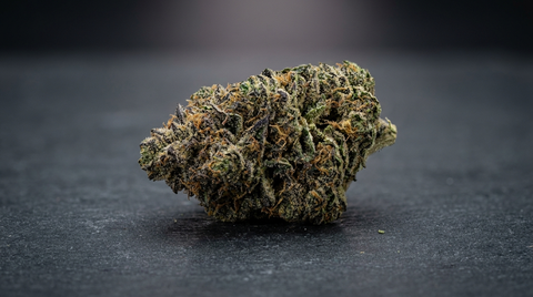 Gorilla Zkittlez strain guide: effects, terpenes and genetics