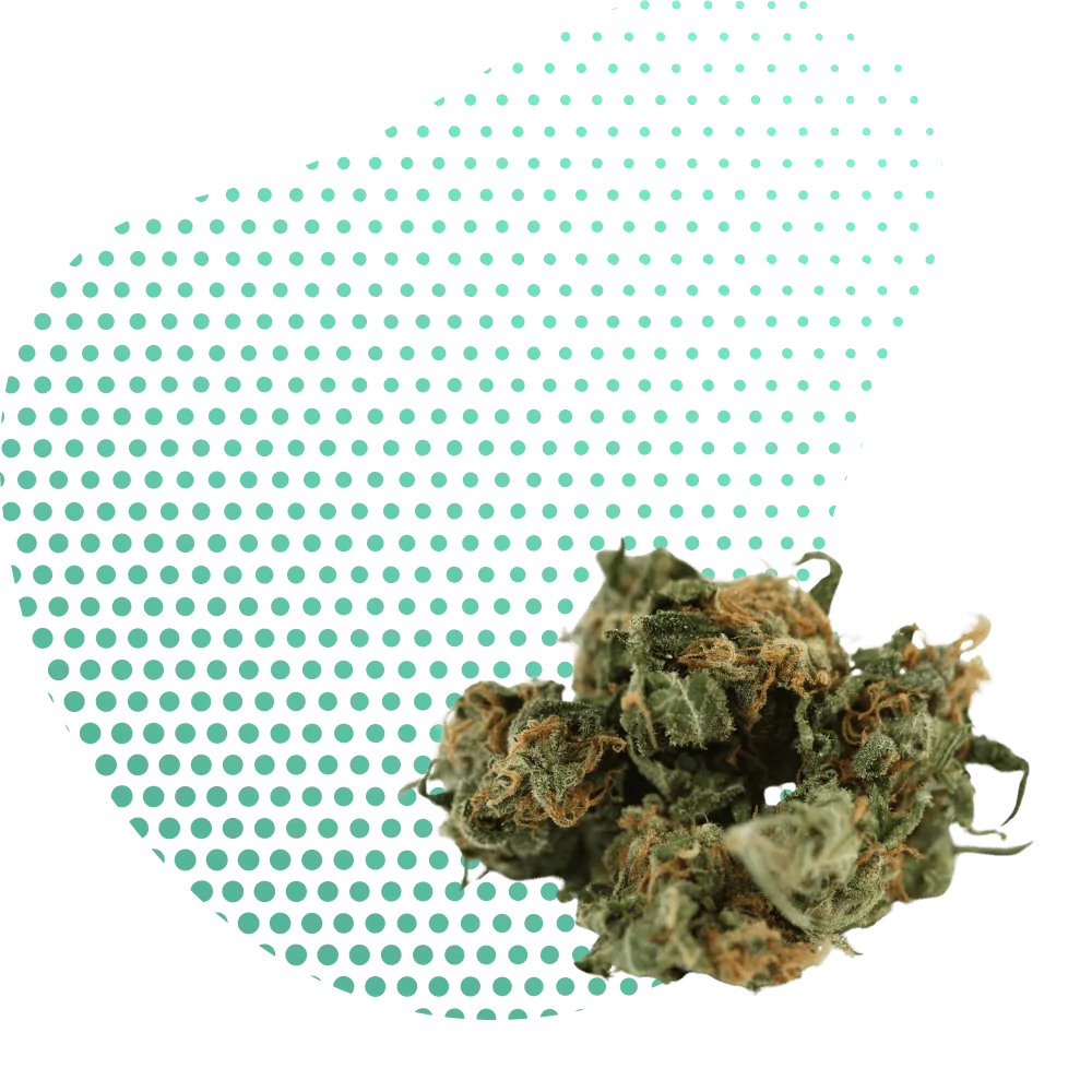 THC-B Products