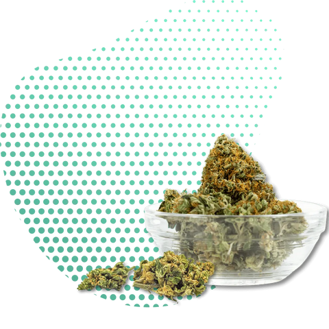Infiorescenze 10-OH-HHC