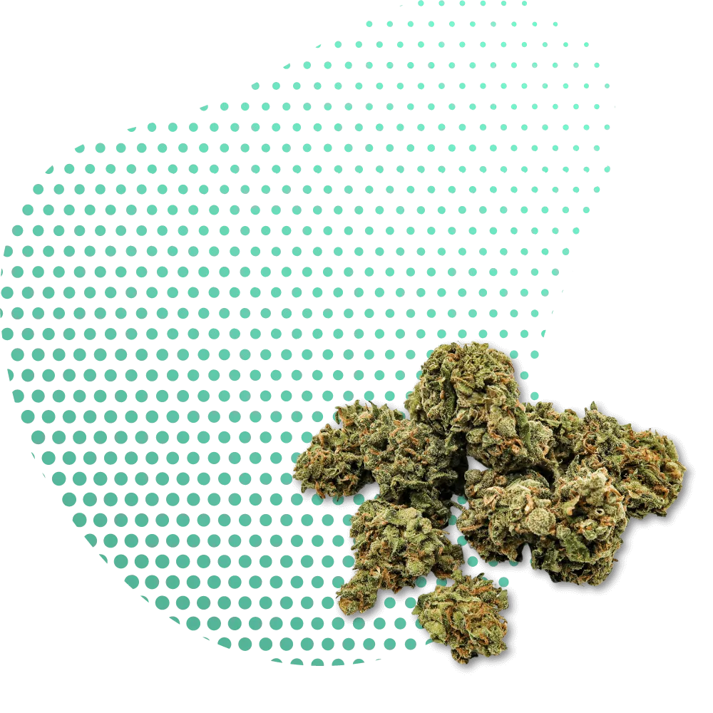 CBN Products
