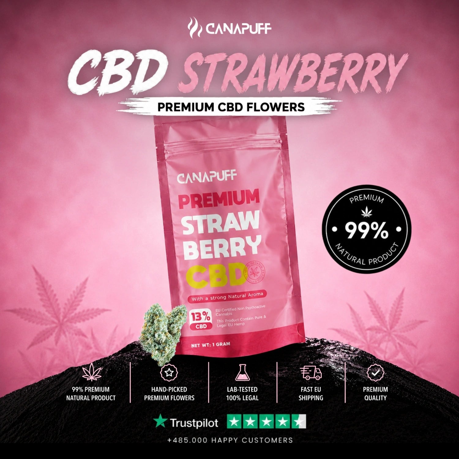 CBD Flowers Strawberry 13%