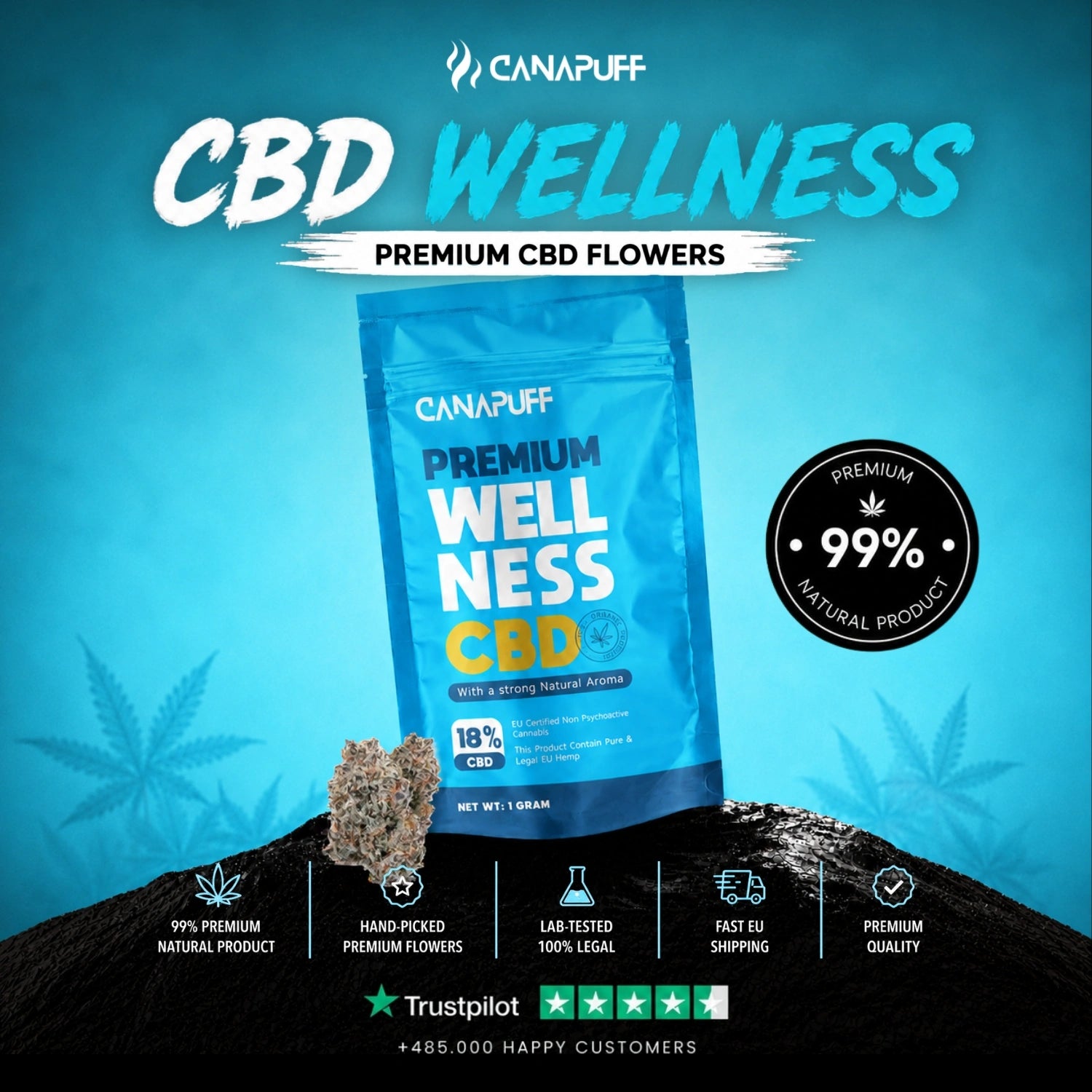 CBD Flowers Wellness 18%