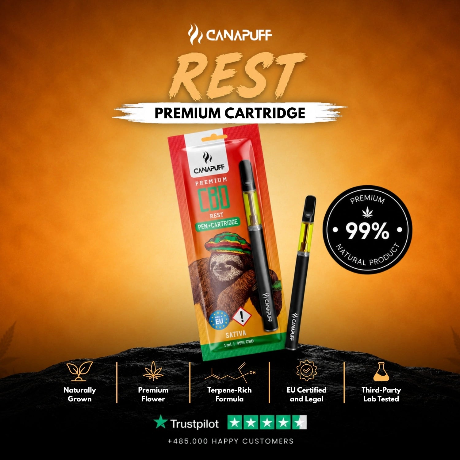 CBD Pen+Cartridge Rest 95%