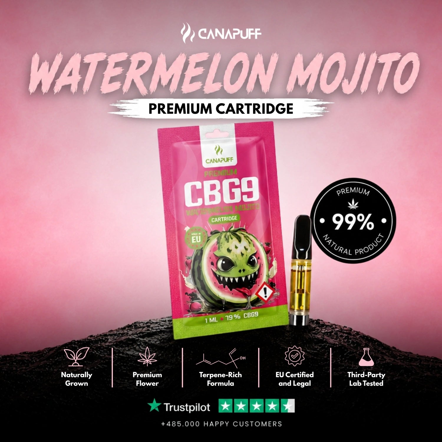 CBG9 Cartridge Watermelon Mojito 79%