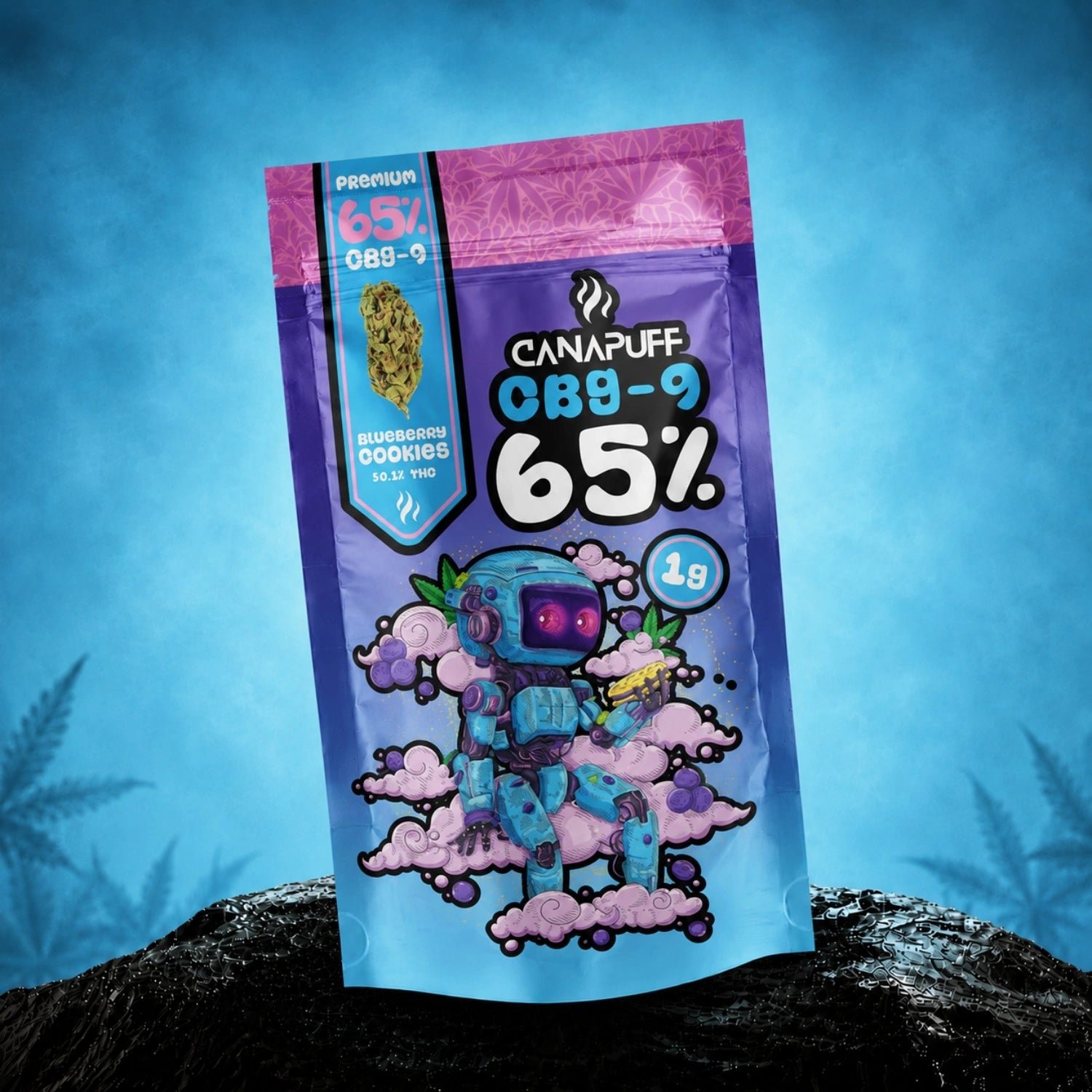 Canapuff CBG9 Flowers Blueberry Cookie 65% pouch