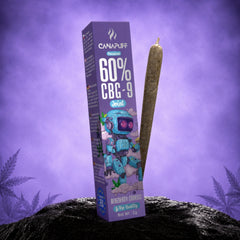 CBG9 Joint Blueberry Cookies 60% 2g