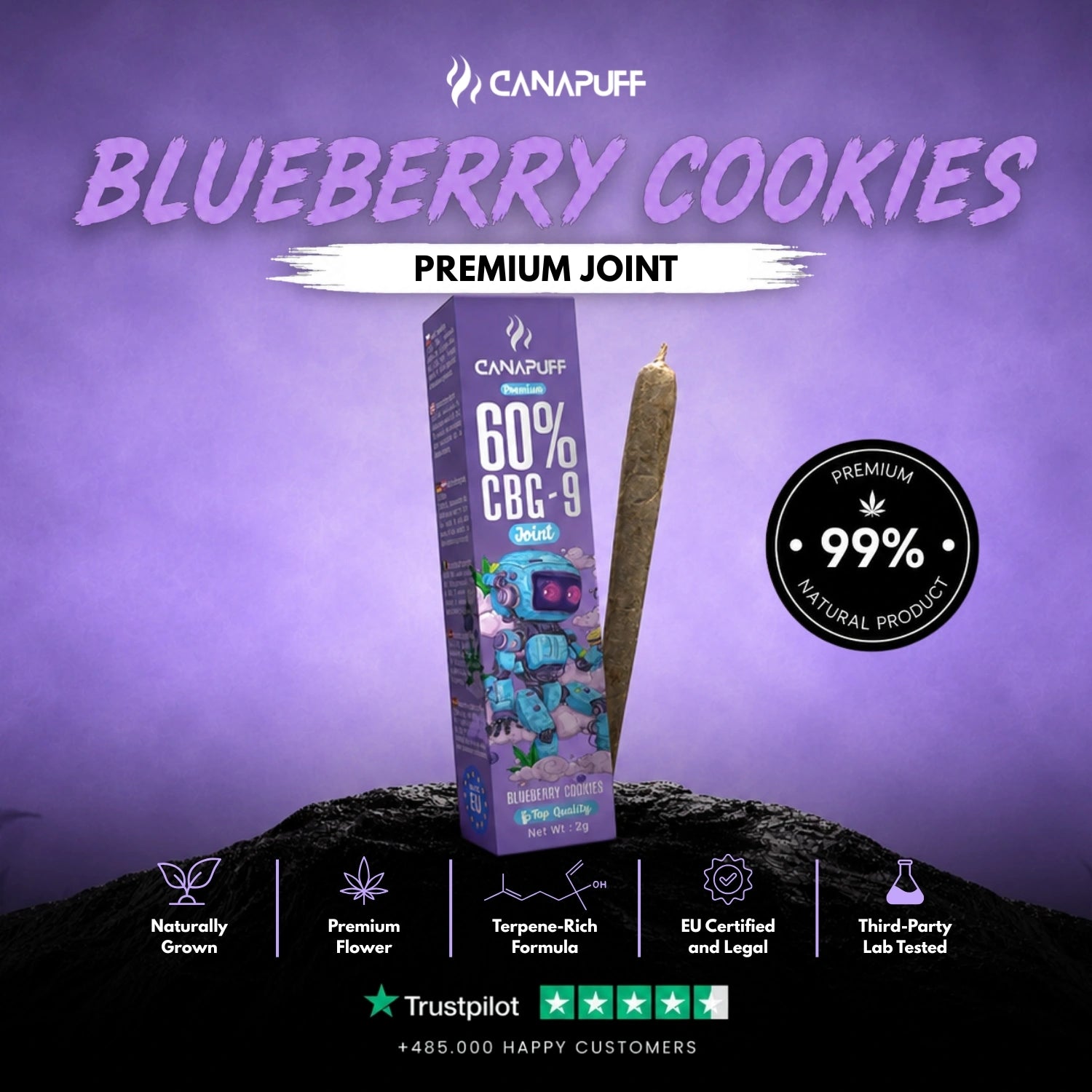 CBG9 Joint Blueberry Cookies 60% 2g