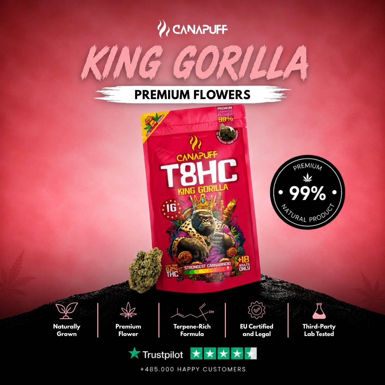 T8HC Flowers King Gorilla 99%