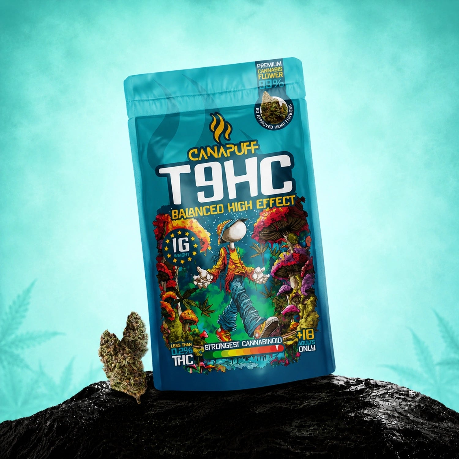 Canapuff T9HC flowers balanced high effect, 1 g pouch