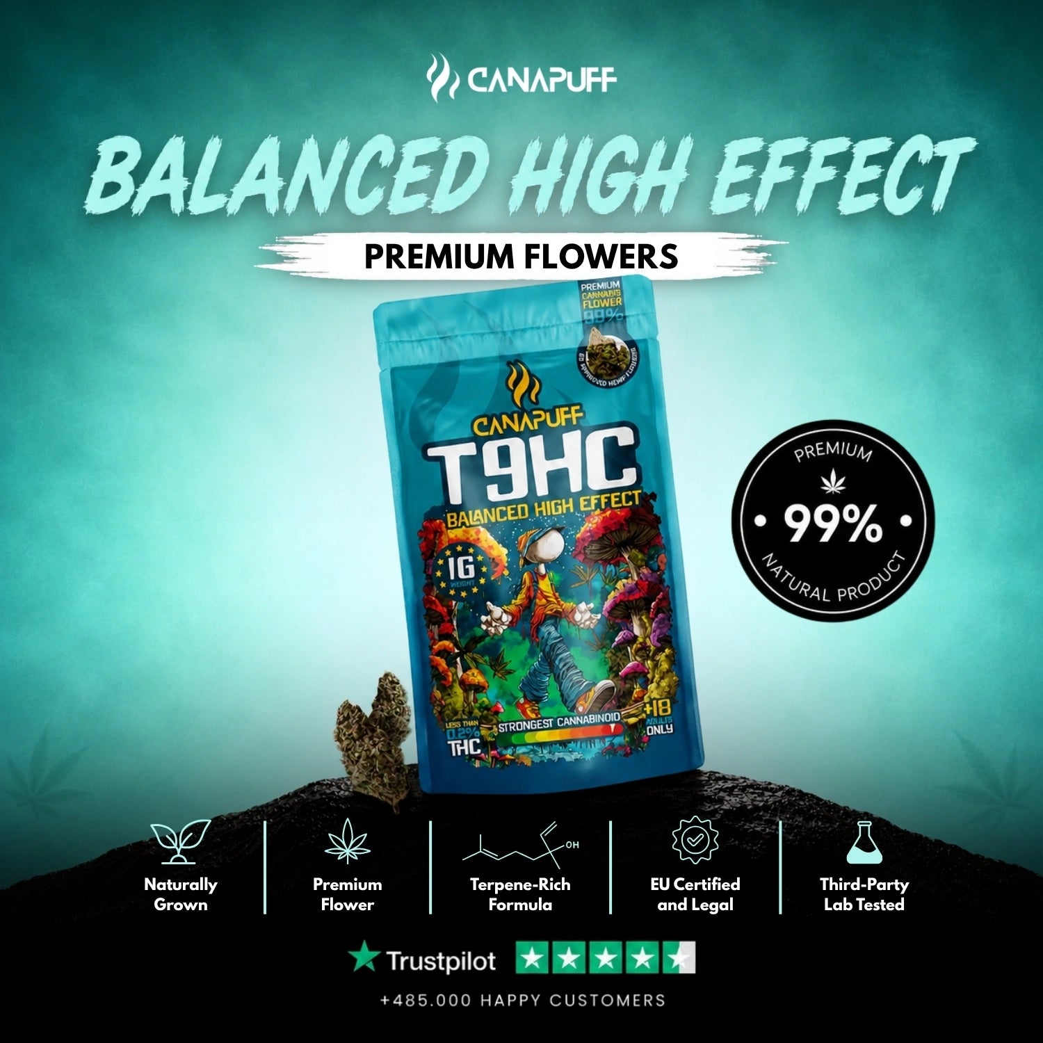 T9HC Flowers Balanced 99%