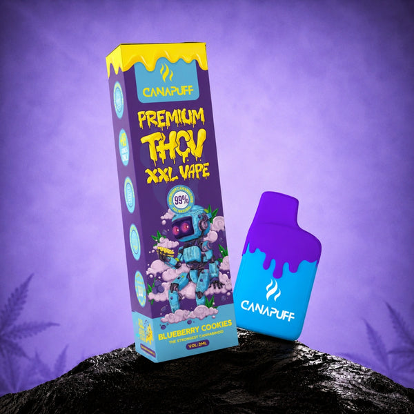 Canapuff THCv XXL Vape Blueberry Cookies 99% 2ml jednorazové pero s krabičkou
