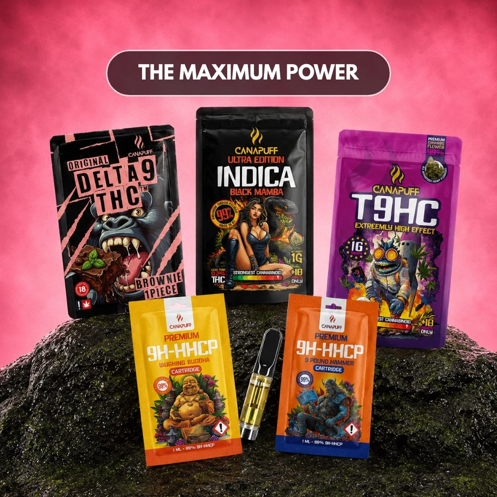 Canapuff Maximum Power bundle with Delta-9 THC brownie, Indica flower, T9HC flower and cartridges