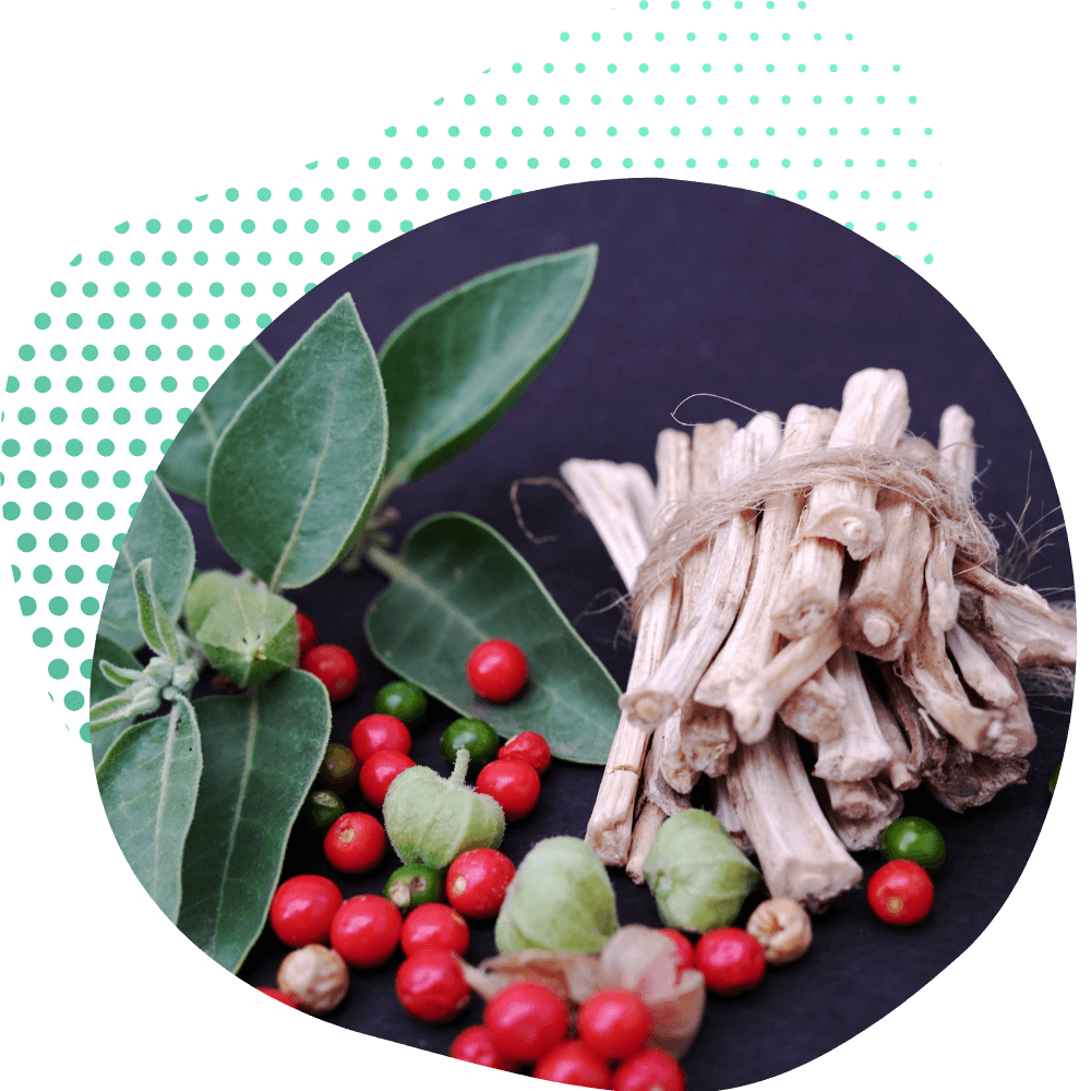 Znanost iza ashwagandhe