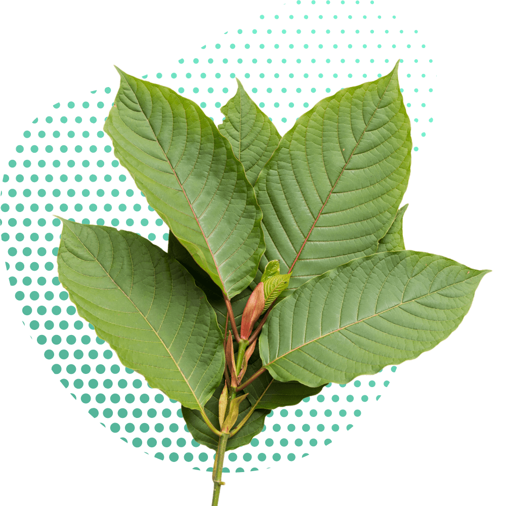 Kratom fordele naturlige