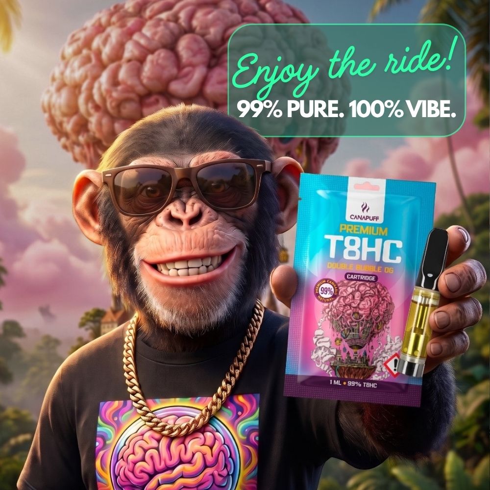 Vape-uri, flori, comestibile.<br><em>VIBE</em>-ul tău e pe undeva pe aici.<br>